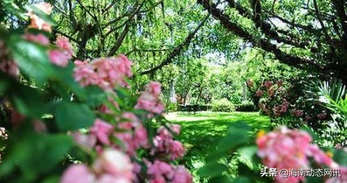 海南万宁兴隆镇南洋坊,海南万宁兴隆简介