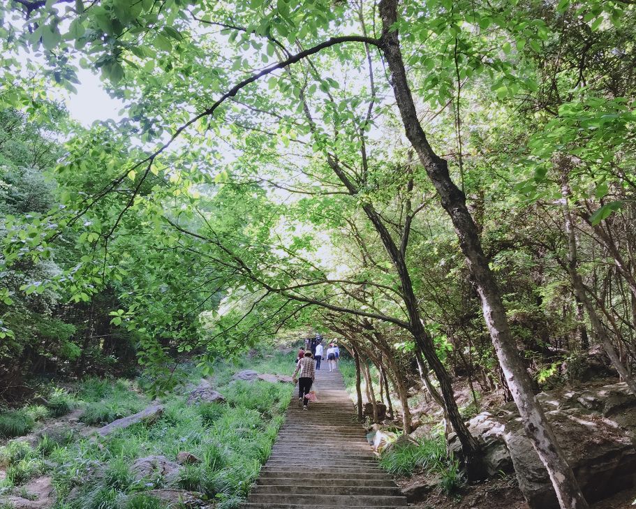 武汉必打卡排行榜,武汉十大打卡地