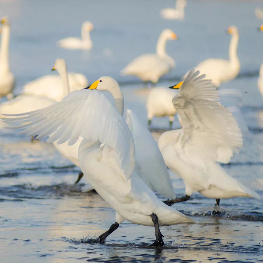 唯一上榜2018最具幸福感的县级市的北方小城，光海鲜就能吃到爽！
