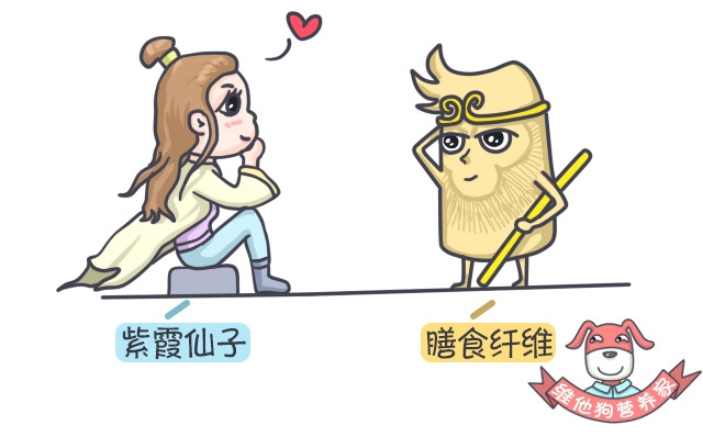 多吃膳食纤维能瘦吗,高膳食纤维对减脂有帮助吗