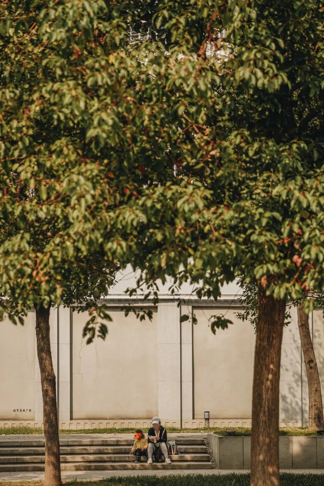 武汉长江轮渡时间表,重庆至武汉长江轮渡