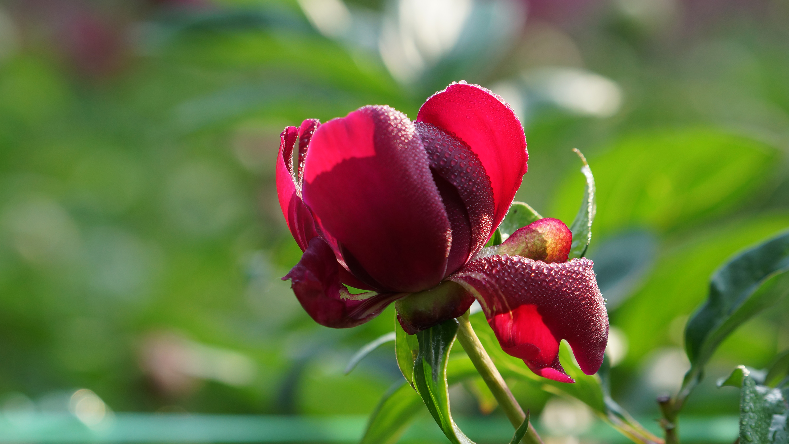 2023年金融学研究生分数线预估,2024山财考研报录比