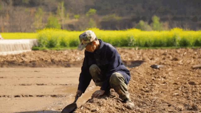 陕西秦岭最美的小城在哪里,秦岭深处的小县城暗藏着绝美秋色