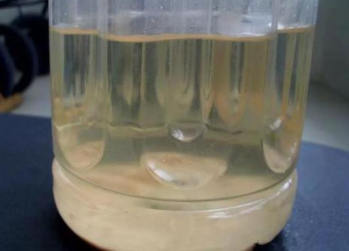 绿萝浇水加点它轻轻松松养爆盆,怎样才能让绿萝枝繁叶茂又绿又亮