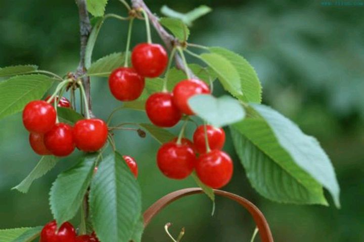 男人30多岁还没有结婚,要么开心豁达自由自在,要么唉声叹气