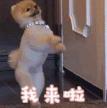 79蚊在Zara,淘到了李现上千块的同款*服私**