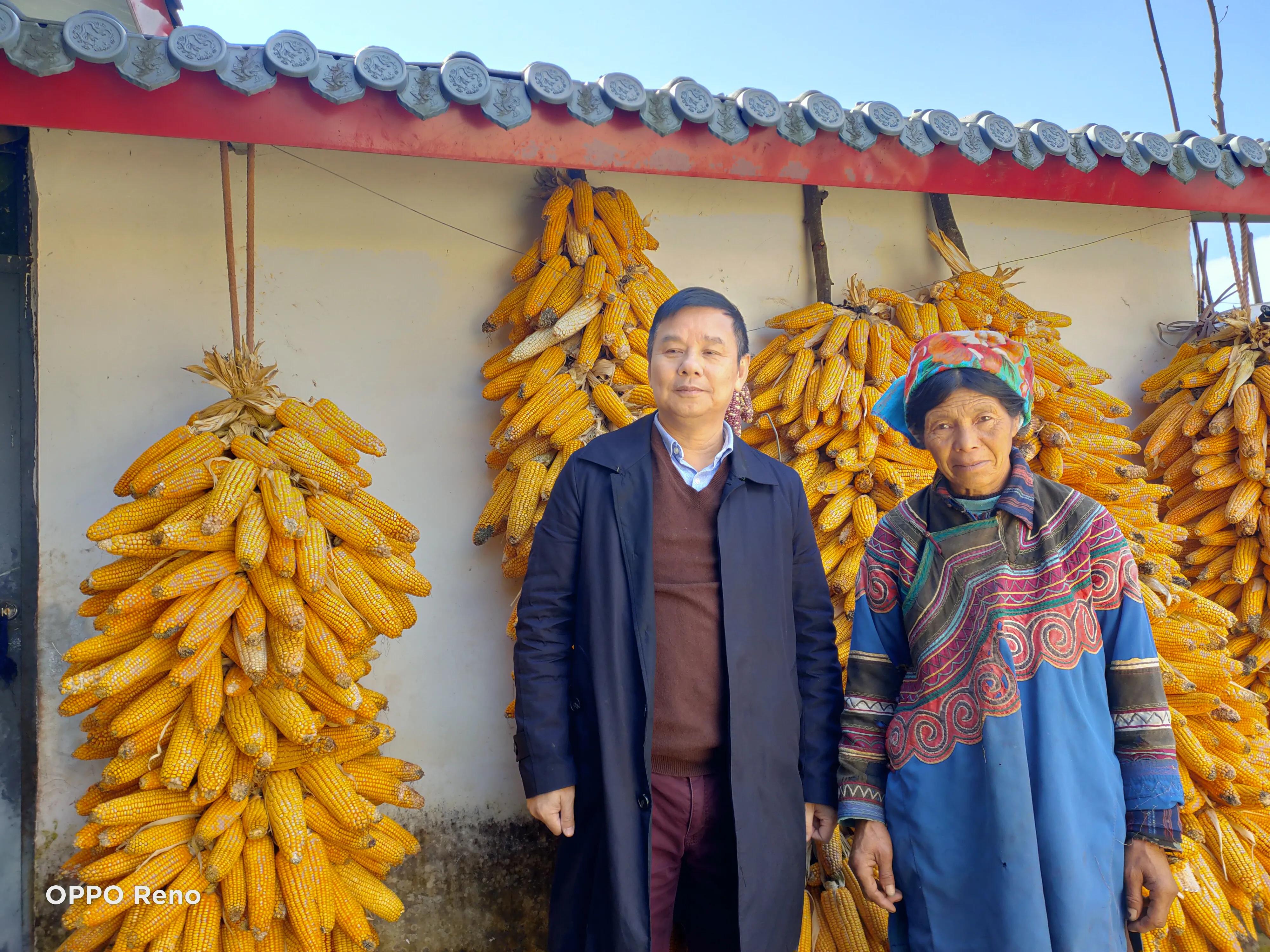 佛山市帮扶凉山州,佛山帮扶天柱县