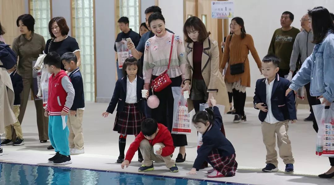 你好，碧桂园小学！初次见面请多指教！