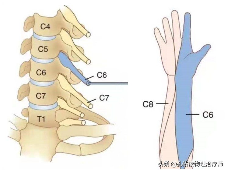 左手麻肩胛骨疼痛是怎么回事,手麻肩胛骨痛