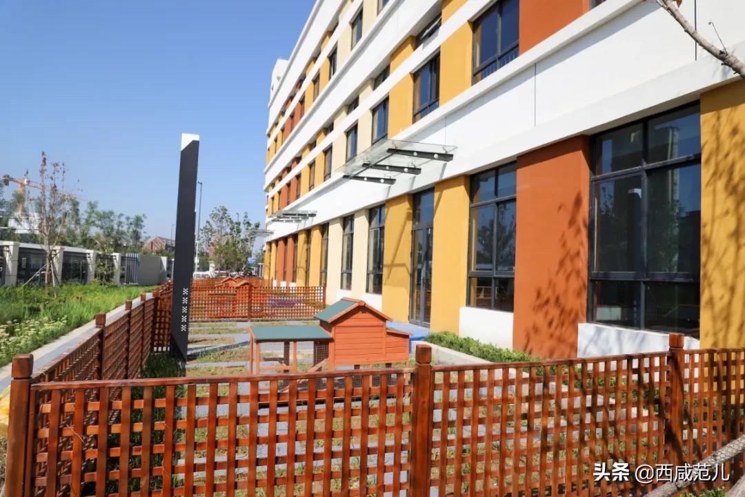 喜讯|新增学位14760个！沣西、能金区共10所新建学校，全部投运