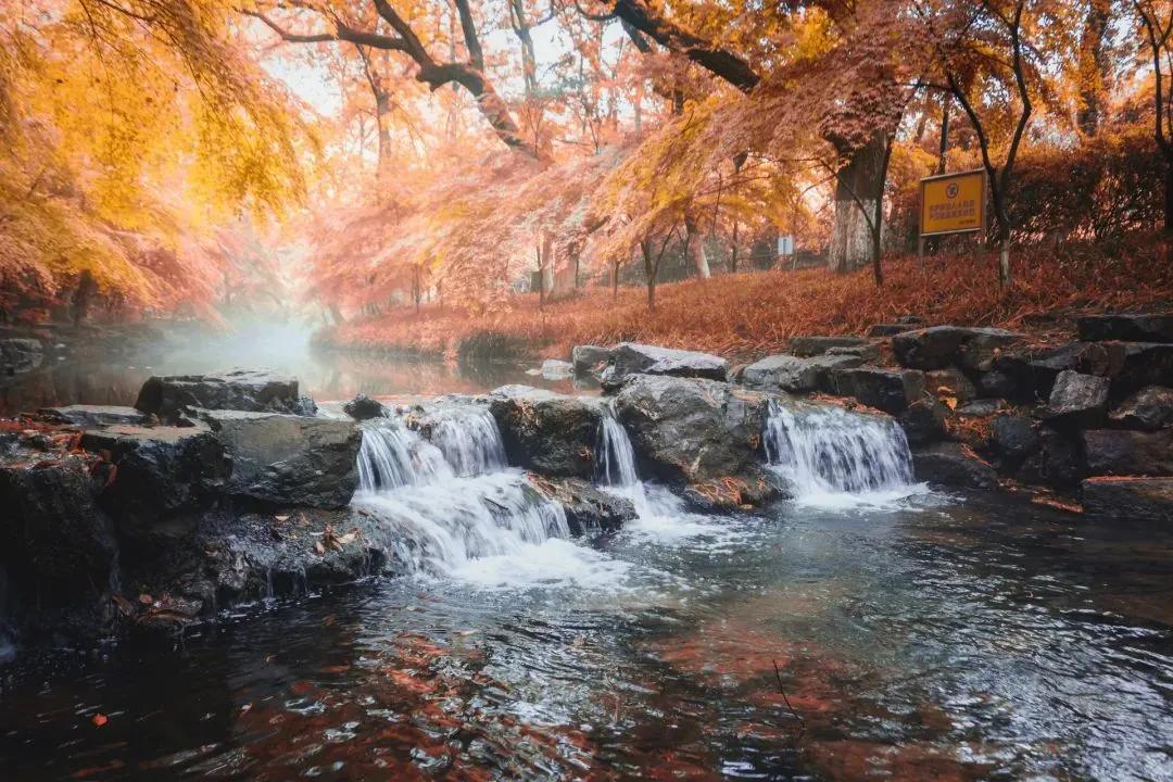 国内小众拍照胜地排名,文艺气息满溢的拍照圣地