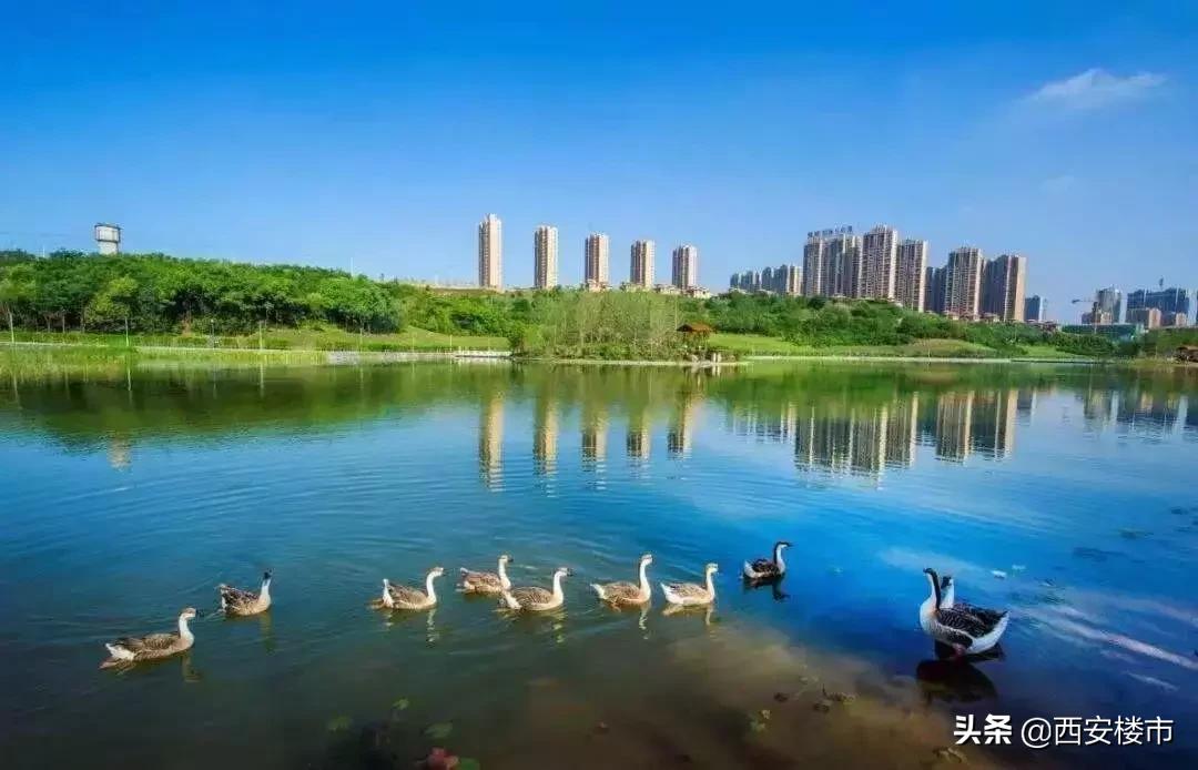 5年看浐灞10年看西咸,五年看沣东十年看浐灞