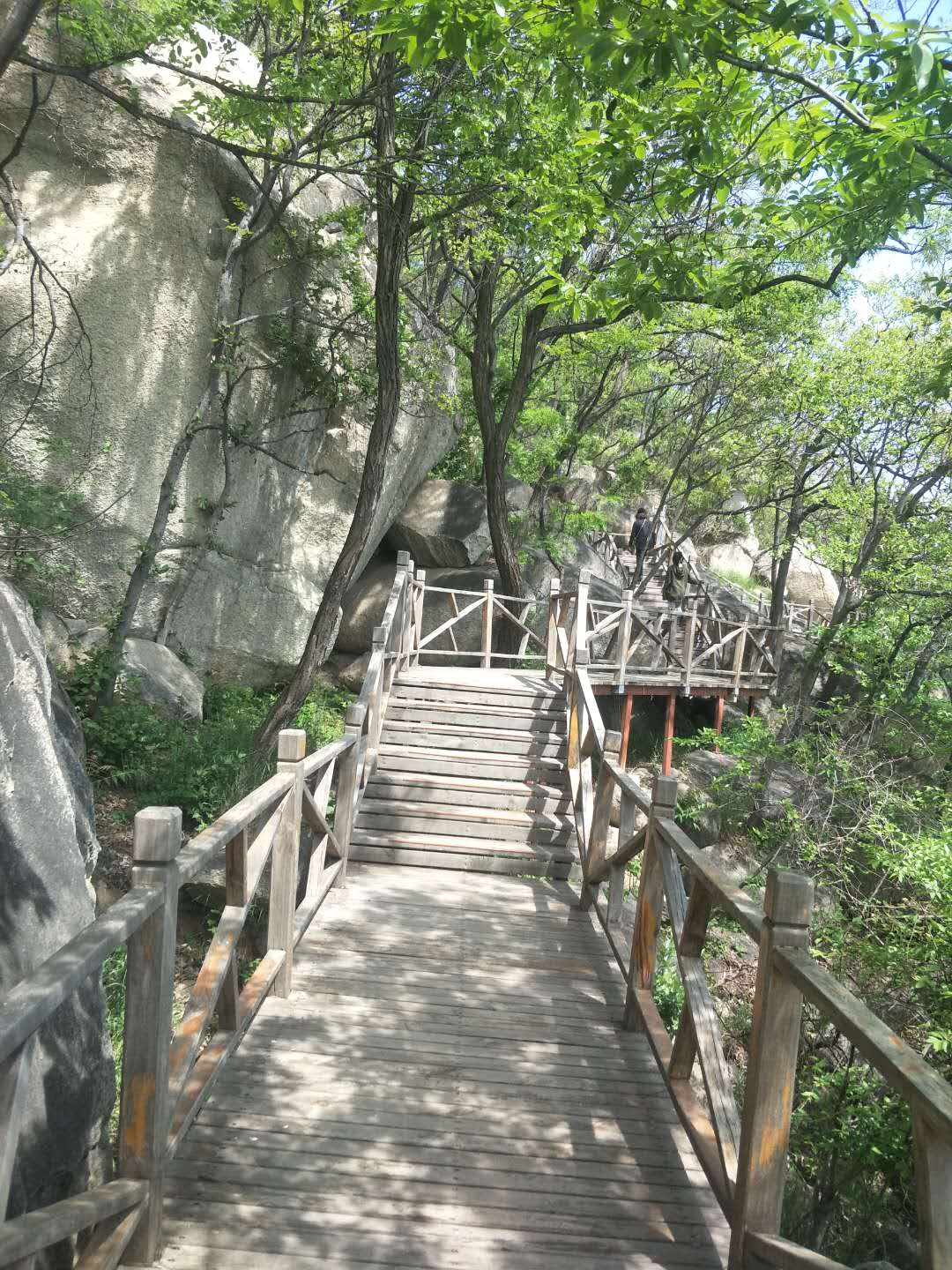 踏春五宝庵风景,踏春五宝庵山在哪里