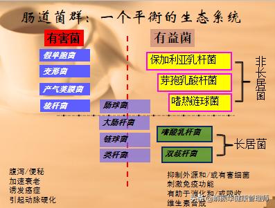 儿童调理肠道益生菌,如何增加肠道益生菌