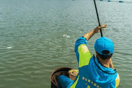 大鱼避免切子线,老是切子线跟鱼竿有关系吗