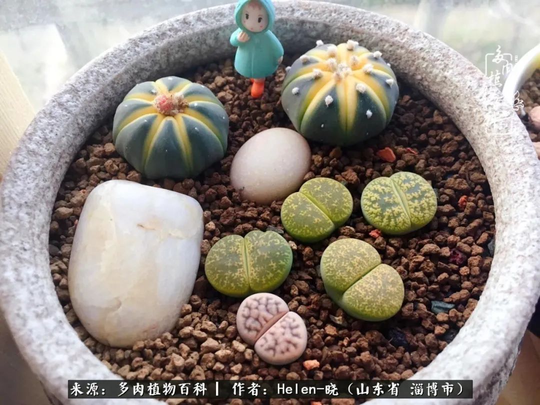 人到中年温暖如初,人到中年岁月静好