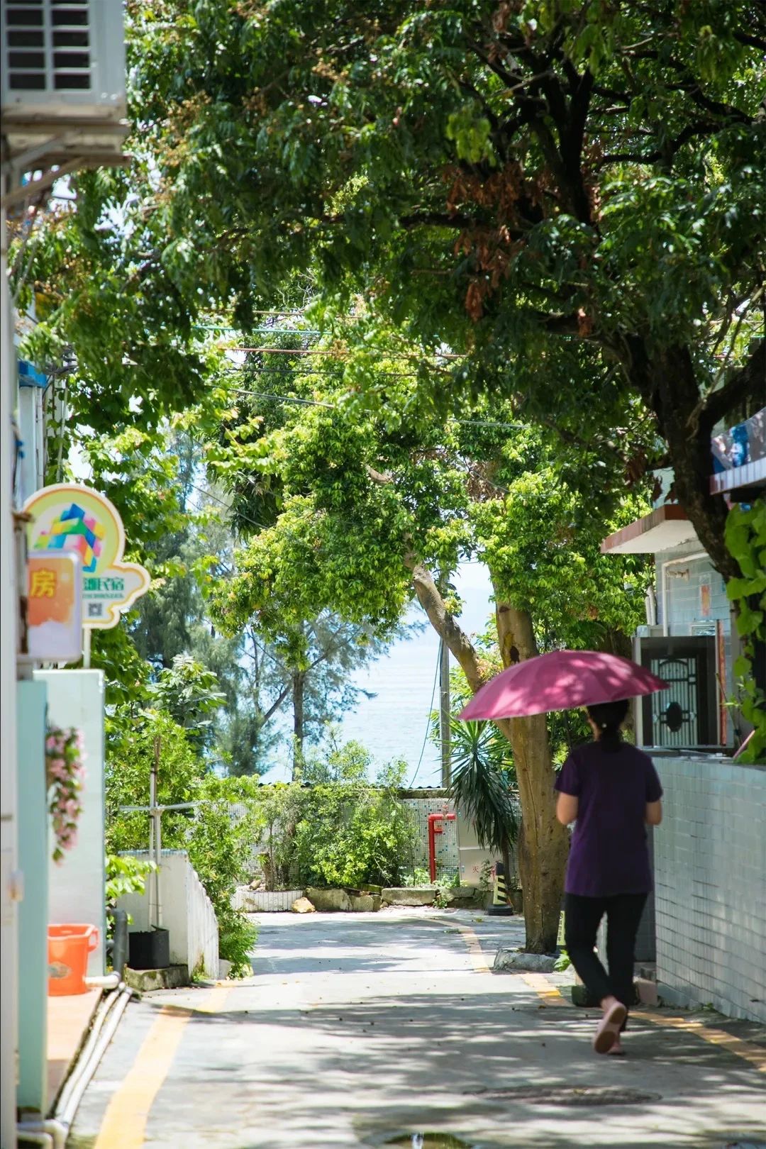 深圳周末浪漫好去处,深圳浪漫约会地点十个景点