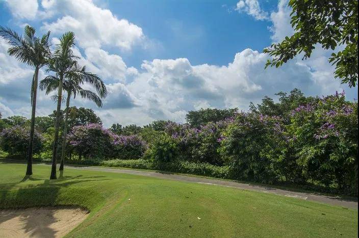 来喽·惠州候鸟印度洋风情别墅~网红泳池+休闲单车、农家特色菜