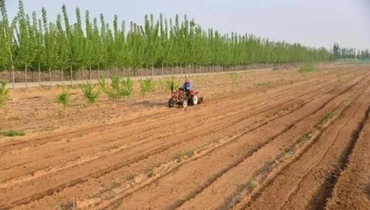 经营家庭农场的10个盈利模式,日本家庭农场经营模式