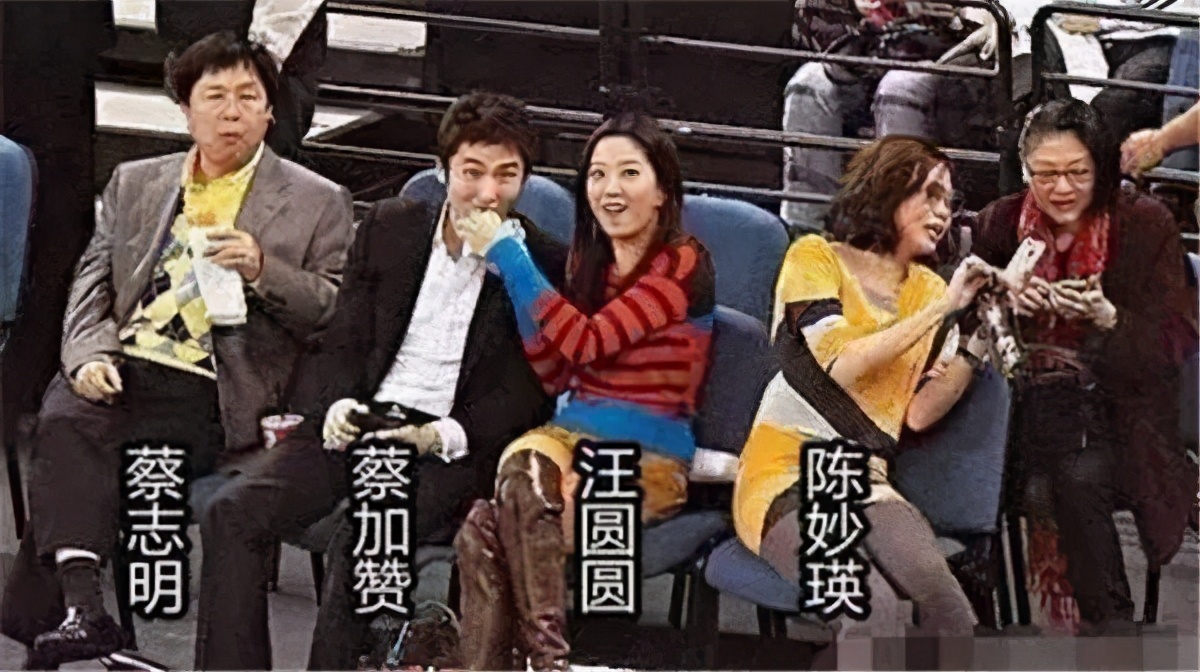 徐子淇嫁的豪门到底有多豪,徐子淇嫁入豪门八年生四子