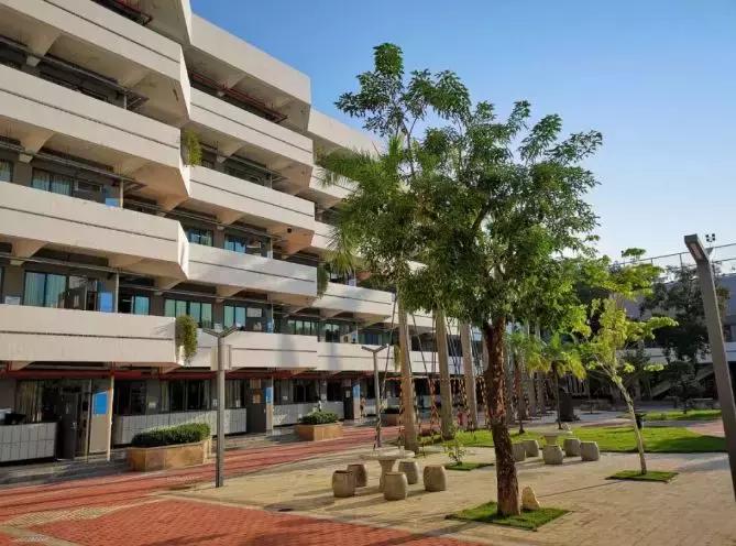 育才中学最后的冲刺,育才中学2019年小升初