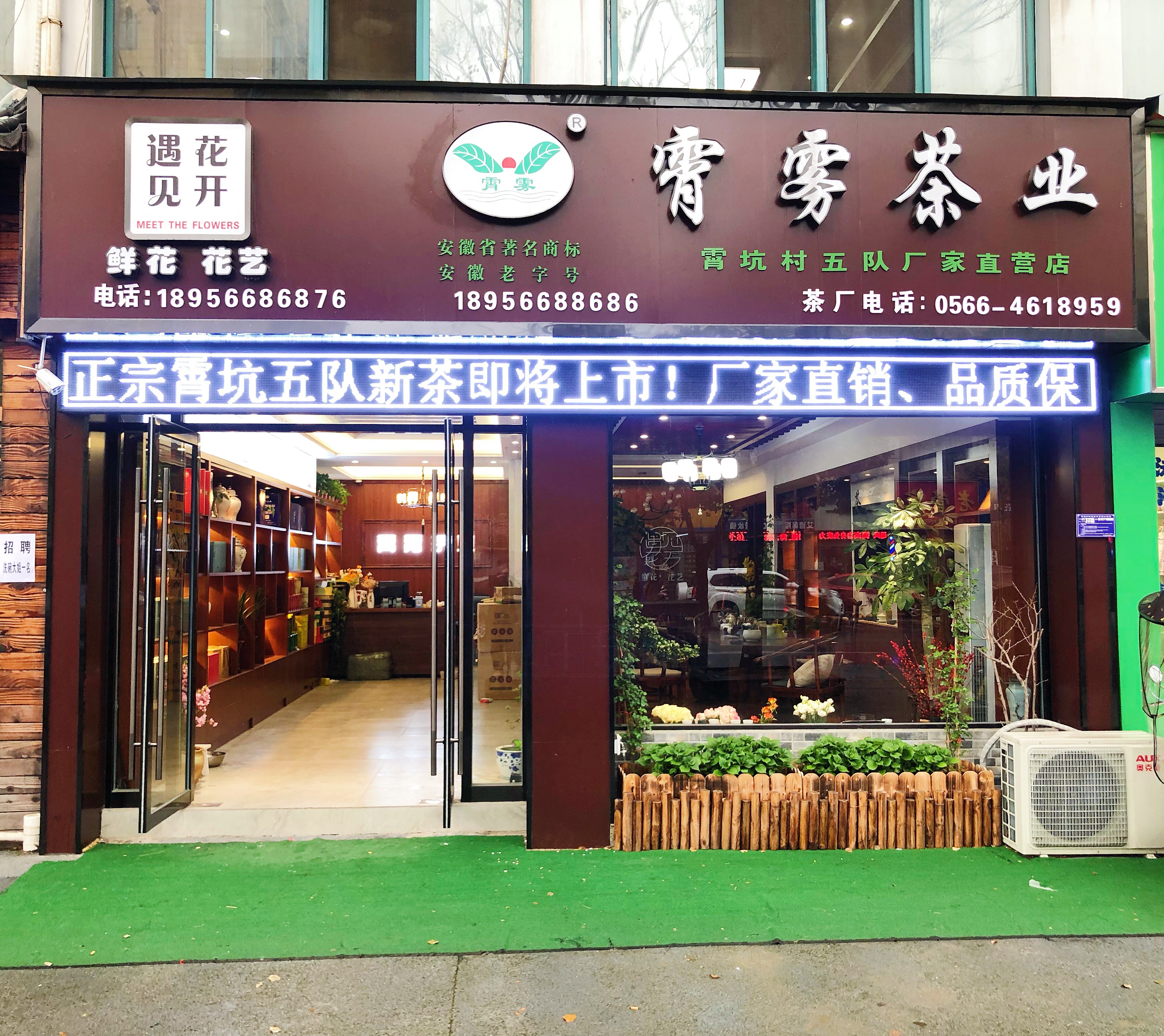 肖坑茶,是春天对爱茶人的馈赠