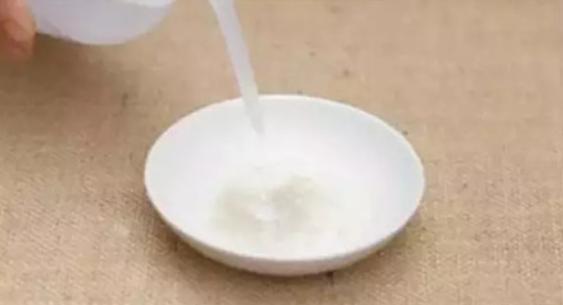 花卉多菌灵怎么选,丽姐说花卉教程