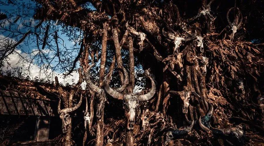 泰国西双版纳旅行,西双版纳基诺山热带雨林徒步