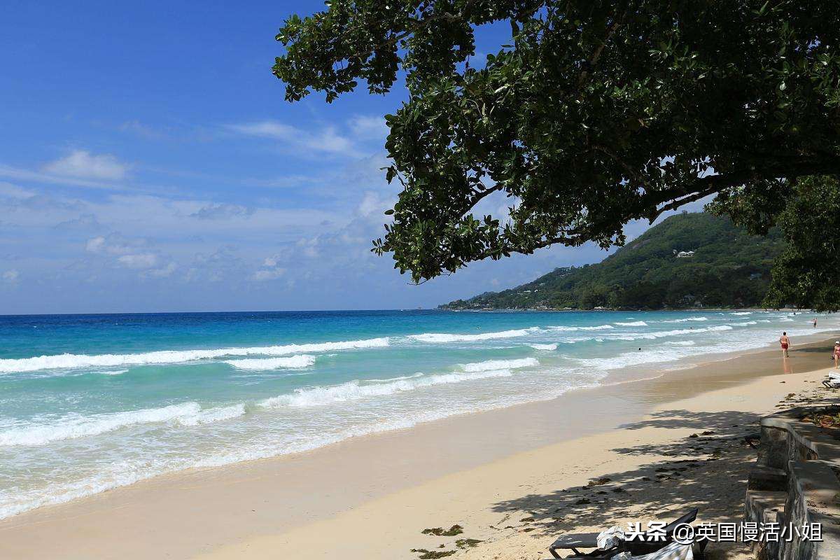 年度最热海岛游圣地大公开，塞舌尔自由行攻略