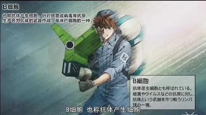 关于NK细胞你不知道的那些事儿,NK免疫疗法预防癌症