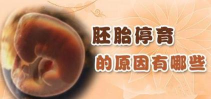 怀孕30多周胎停有什么症状,有过停胎史怀孕32天需要去医院吗