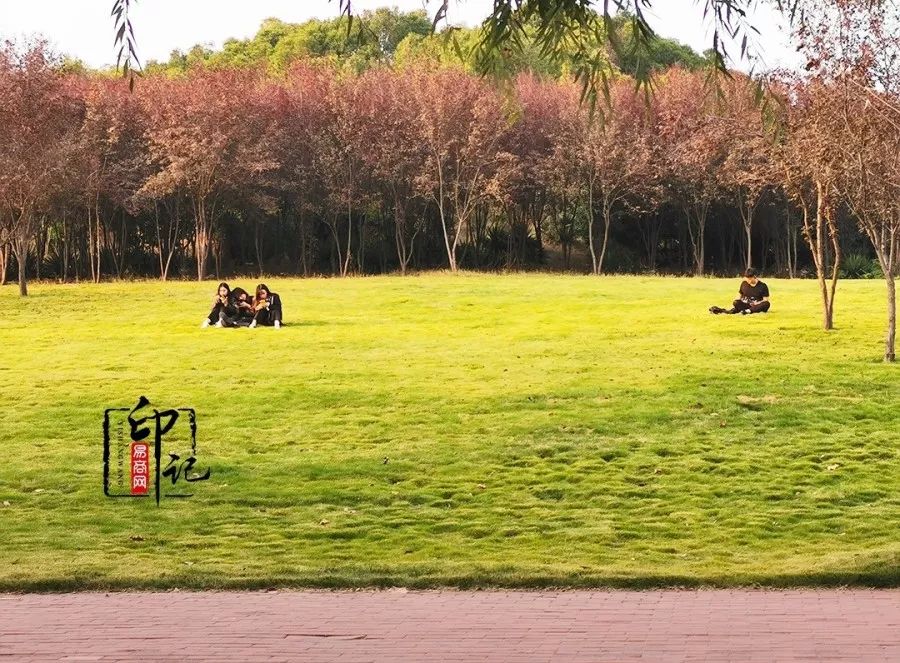 商丘师范学院是商丘最好的大学吗,商丘师范学院被称为豫北小清华