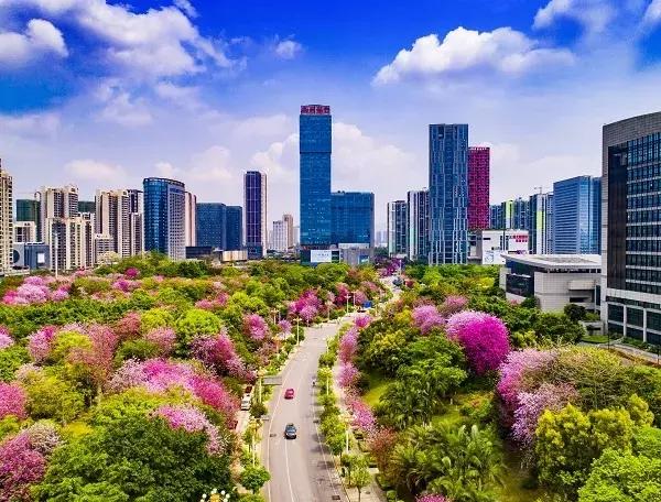 高考志愿填报南方科技大学,广西科技大学一志愿2024