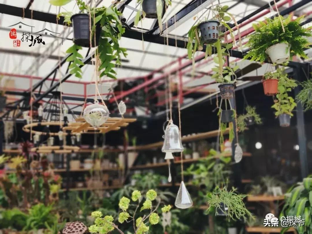 适合遛娃的地方重庆绿色星球,重庆150米神秘花园