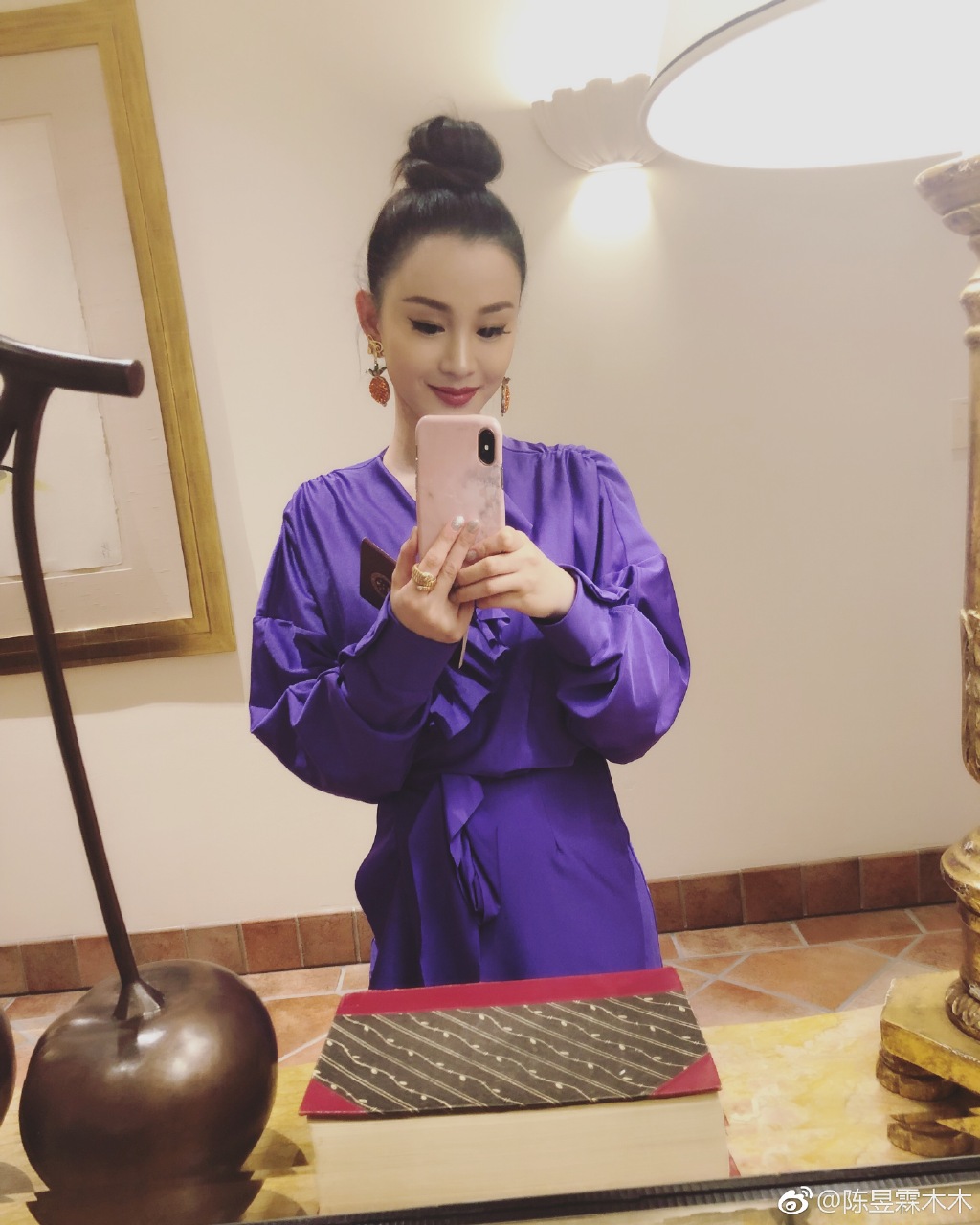 陈昱霖的奢侈品,陈昱霖同款珠宝包