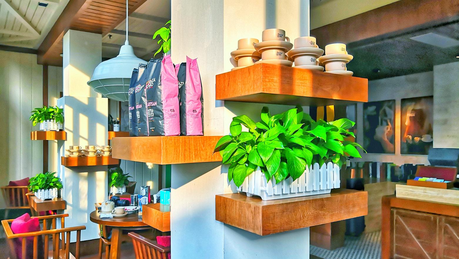 都是网红惹的祸,都是网红惹的祸完整版