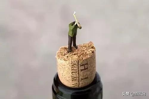葡萄酒瓶塞破了怎么开瓶,葡萄酒开断塞技巧