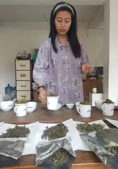 环球观茶｜尼泊尔也产茶？来自当地从业者的采访实录