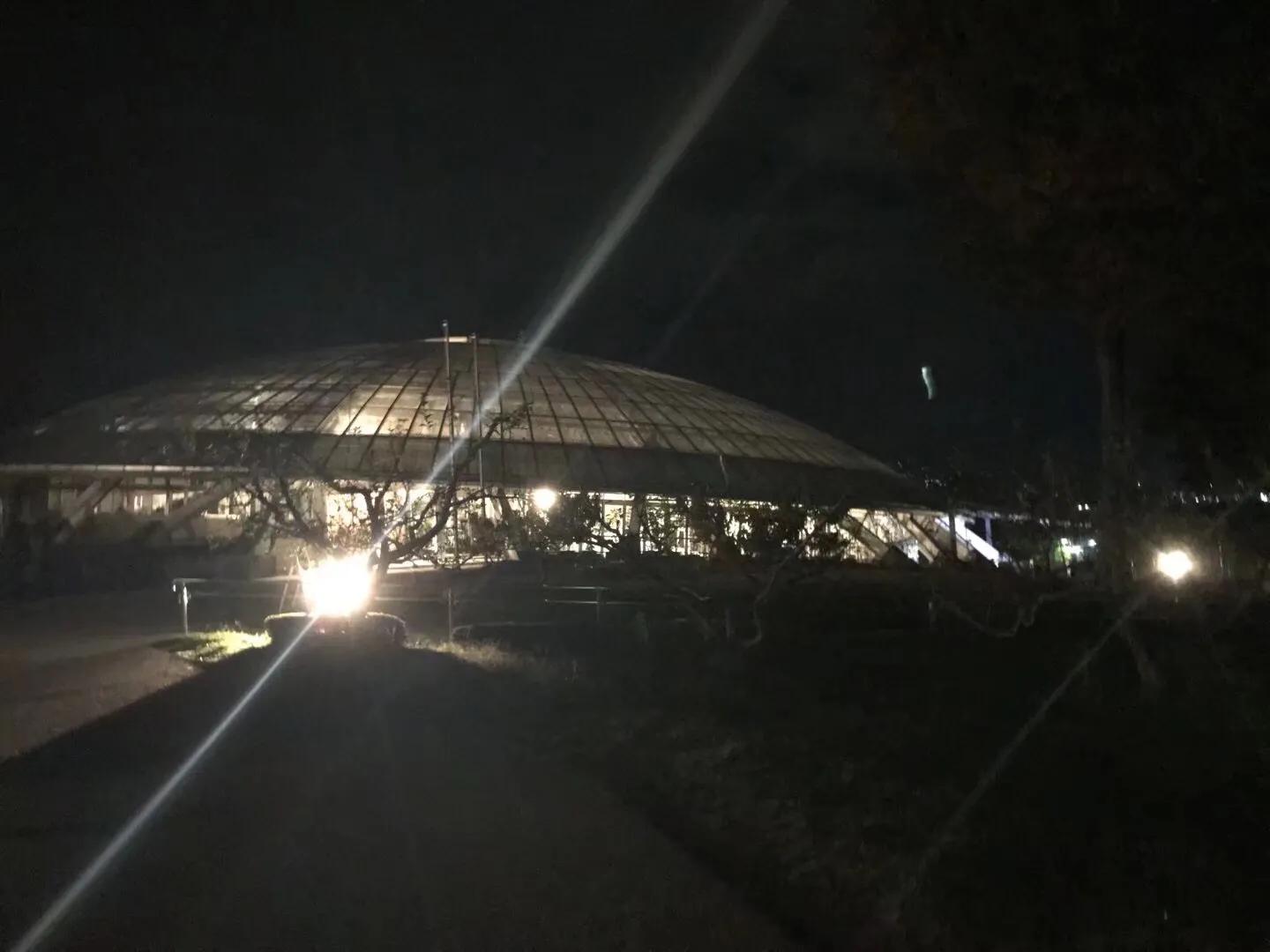 日本疫情举行聚会,日本民众疫情聚会