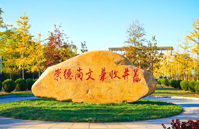 最吃香的外国语大学专业,报外国语大学学什么专业最好