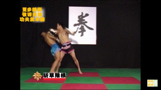 泰拳必杀17招教学,泰拳实战技巧教学视频全集