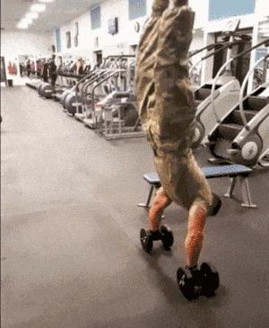 练肌肉喝蛋白粉的原理,吃蛋粉练的肌肉是不是纸老虎