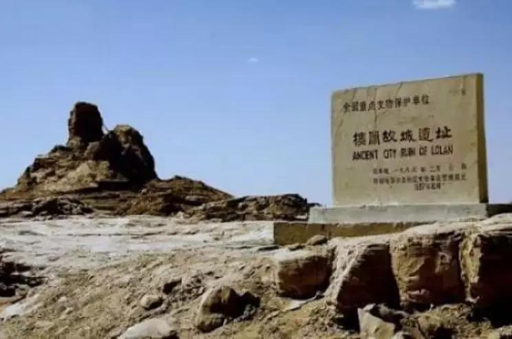 50条让你震惊的冷知识,这十个冷知识确实涨见识