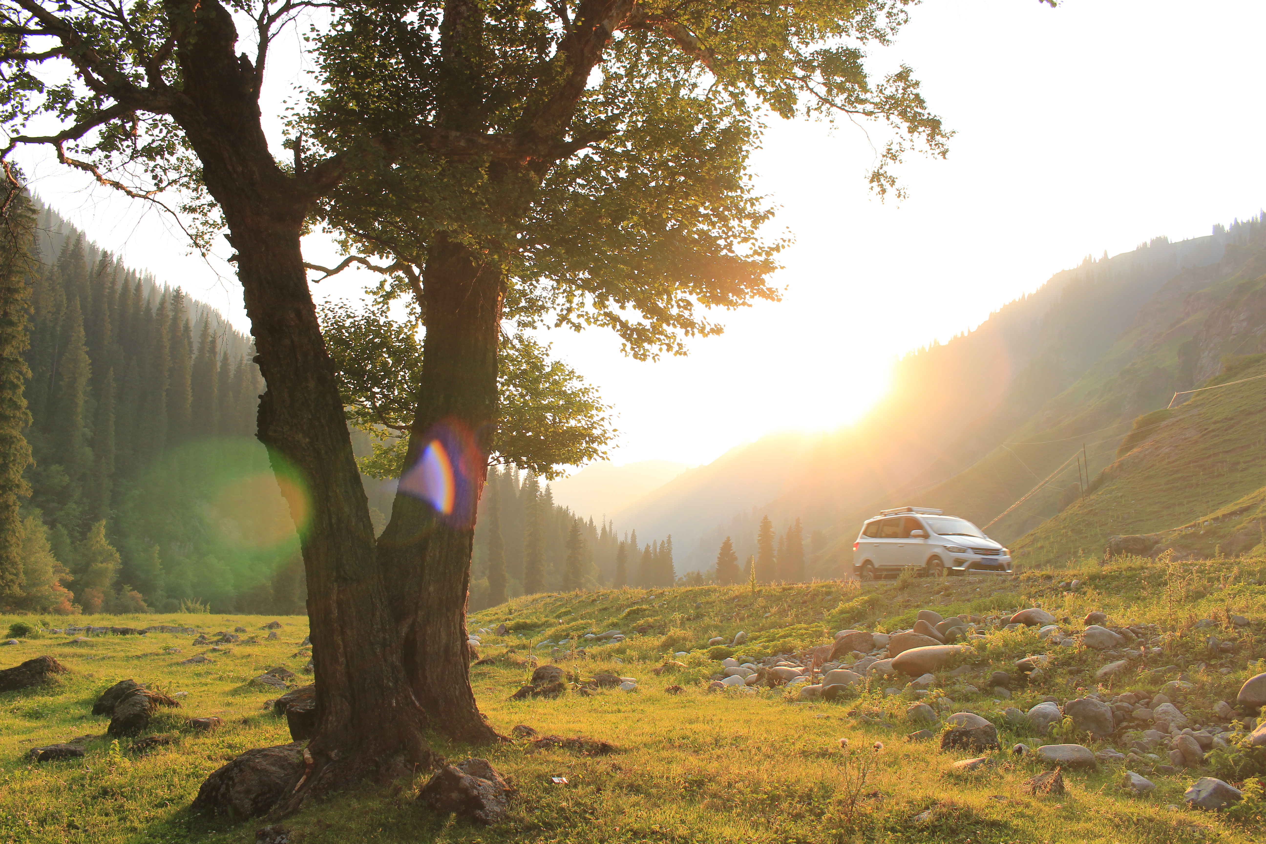 拼车旅游花多少钱,商务车和旅行社合作怎么分钱的