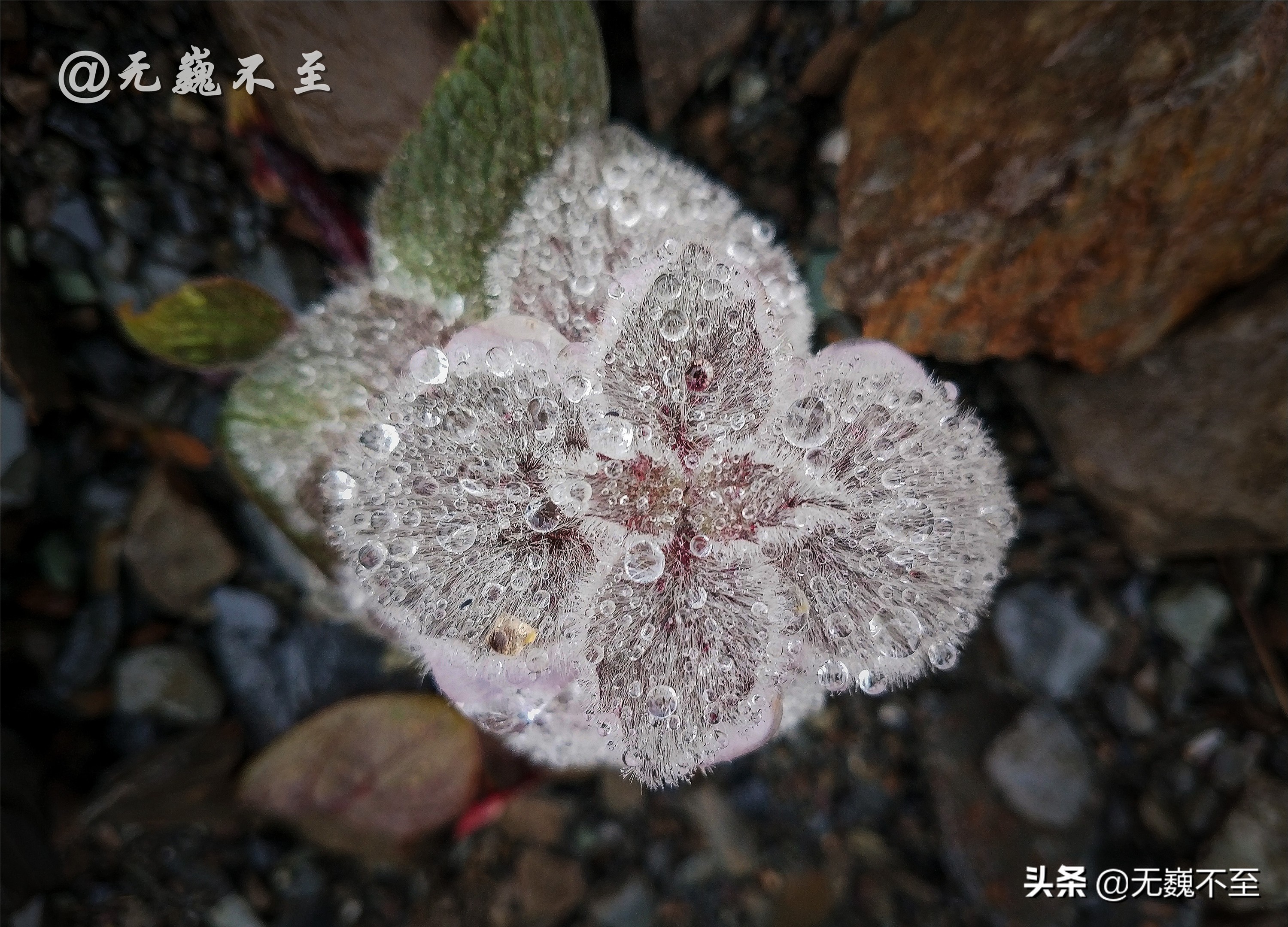 梅里北坡亚贡村,山美水美人更美,真正的香格里拉秘境