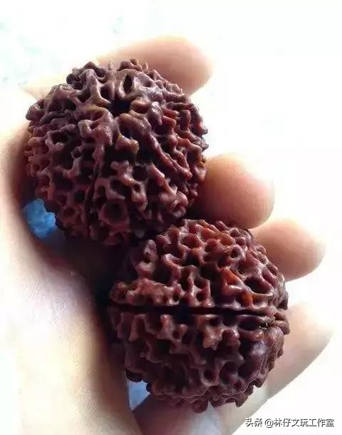 介绍几种文玩核桃和金刚菩提,文玩金刚手串介绍