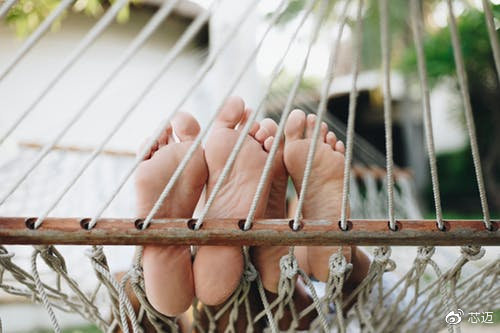 伟大的隐藏者讲的什么,伟大的隐藏者完整免费