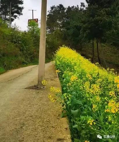 贵阳修文旅行,修文最值得去的地方