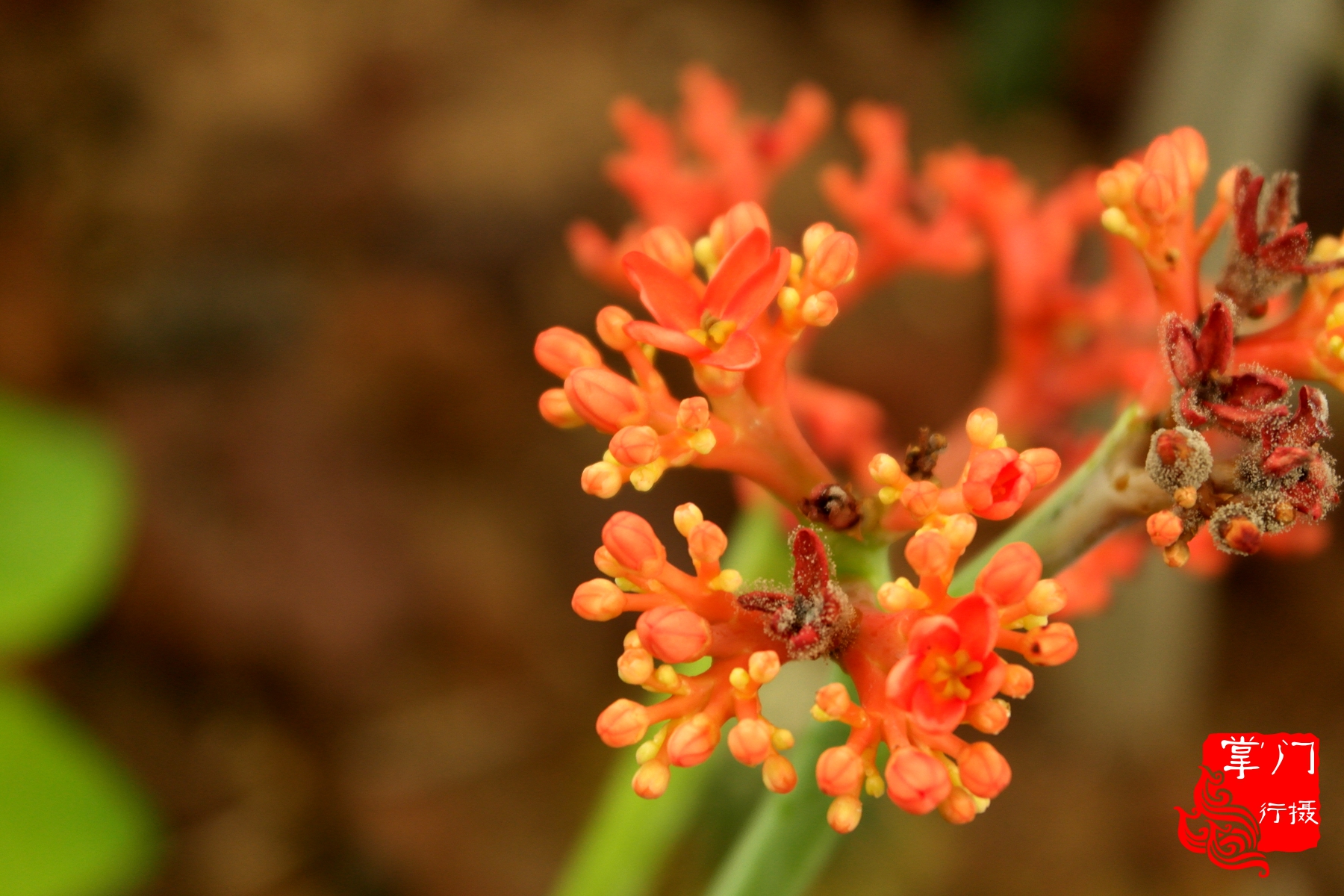广州白云山游记一次身心愉悦之旅,广州白云山云台旅游