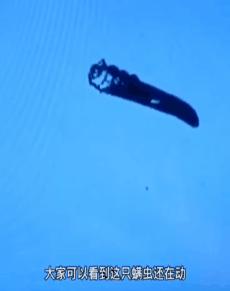 明星亲测|康王创始人83岁再出山，挑战5天内不洗头